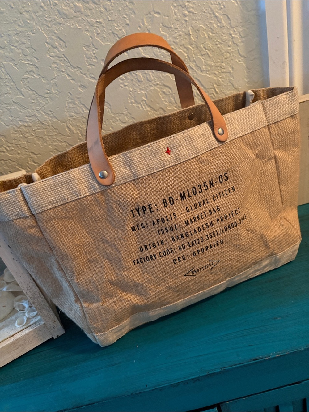 Global Citizen Canvas Tote with Tan Leather Handles